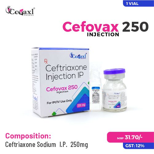 best pcd harma franchise in haryana 1 pcd pharma